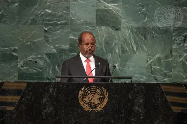 Portrait of His Excellency Hassan Sheikh Mohamud (President), Somalia