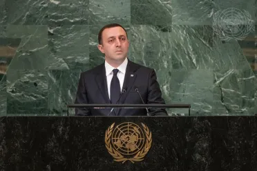 Portrait de (titres de civilité + nom) Son Excellence Irakli Garibashvili (Premier Ministre), Géorgie