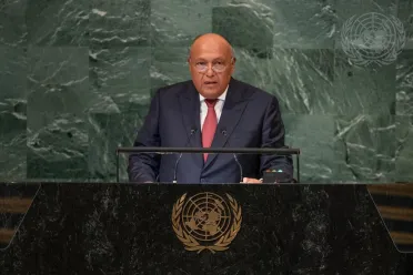 Portrait of His Excellency Sameh Hassan Shoukry Selim (Minister for Foreign Affairs), Egypt
