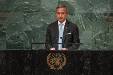 Portrait of His Excellency Vivian Balakrishnan (Minister for Foreign Affairs), Singapore