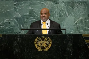 Portrait of His Excellency Mohamed Siad Doualeh (Permanent Representative to the United Nations), Djibouti