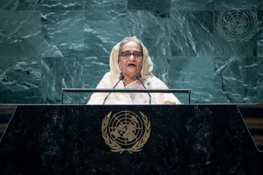 Portrait of Her Excellency Sheikh Hasina (Prime Minister), Bangladesh