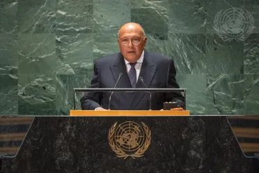 Portrait of His Excellency Sameh Hassan Shoukry Selim (Minister for Foreign Affairs), Egypt