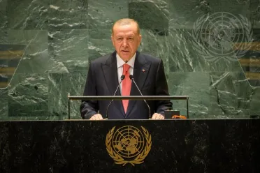 Portrait of His Excellency Recep Tayyip Erdoğan (President), Türkiye