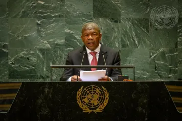 Portrait of His Excellency João Manuel Gonçalves Lourenço (President), Angola