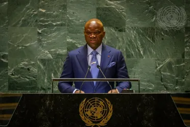 Portrait of His Excellency Brice Clotaire Oligui Nguema (President of the Transition), Gabon