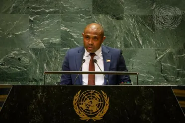 Portrait de (titres de civilité + nom) Son Excellence Mbae Mohamed (Ministre des affaires étrangères et de la coopération internationale), Comores