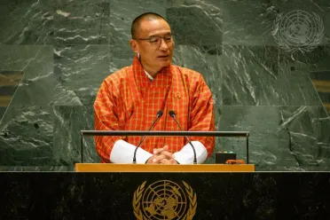 Portrait of His Excellency Tshering Tobgay (Prime Minister), Bhutan