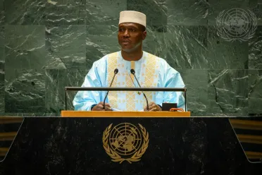 Portrait of His Excellency Abdoulaye Maiga (Deputy Prime Minister), Mali