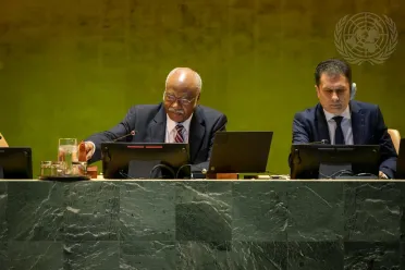 Portrait of His Excellency Philemon Yang (President of the General Assembly), President of the General Assembly (closing)