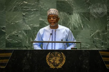 Retrato de (cargo + nombre) Excmo. Sr. Bakary Yaou Sangaré (Ministro de Asuntos Exteriores), Niger