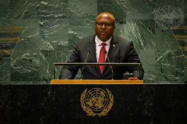 Portrait of His Excellency Albert Shingiro (Minister for Foreign Affairs), Burundi