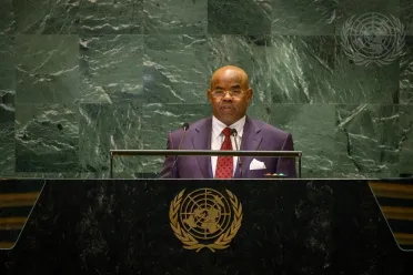 Portrait of His Excellency Mohamed Siad Doualeh (Permanent Representative), Djibouti