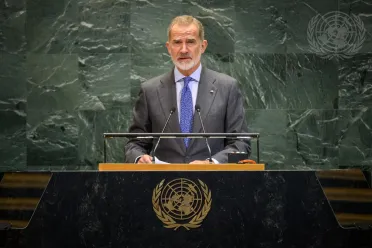 Portrait of His Majesty Don Felipe VI (King), Spain