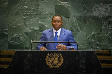 Portrait of His Excellency Allamaye Halina (Prime Minister), Chad