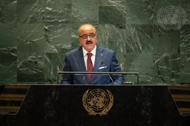 Portrait of His Excellency Mohamed Ali Nafti (Minister of Foreign Affairs, Migration and Tunisians abroad), Tunisia