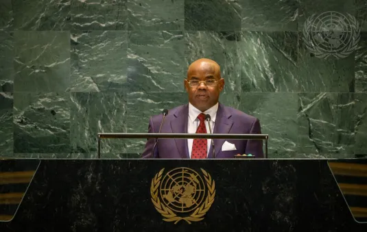 Portrait of His Excellency Mohamed Siad Doualeh (Permanent Representative), Djibouti