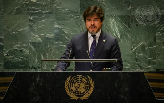 Portrait of His Excellency José Javier De La Gasca (Permanent Representative), Ecuador