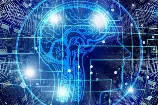 人类大脑与电路系统的数字插画，象征人工智能。